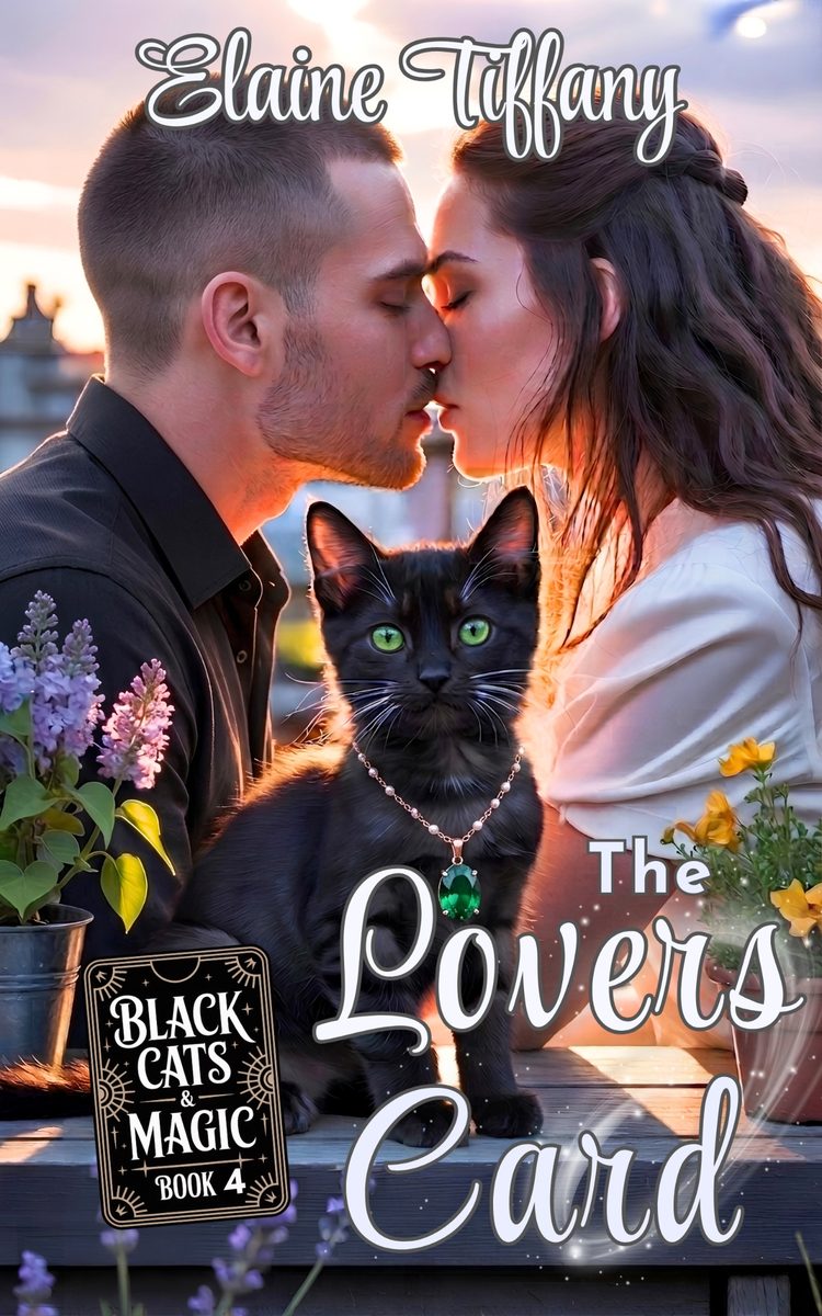 The Lovers Card book cover