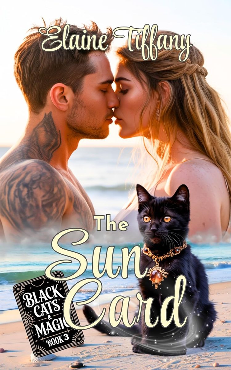 The Sun Card book cover