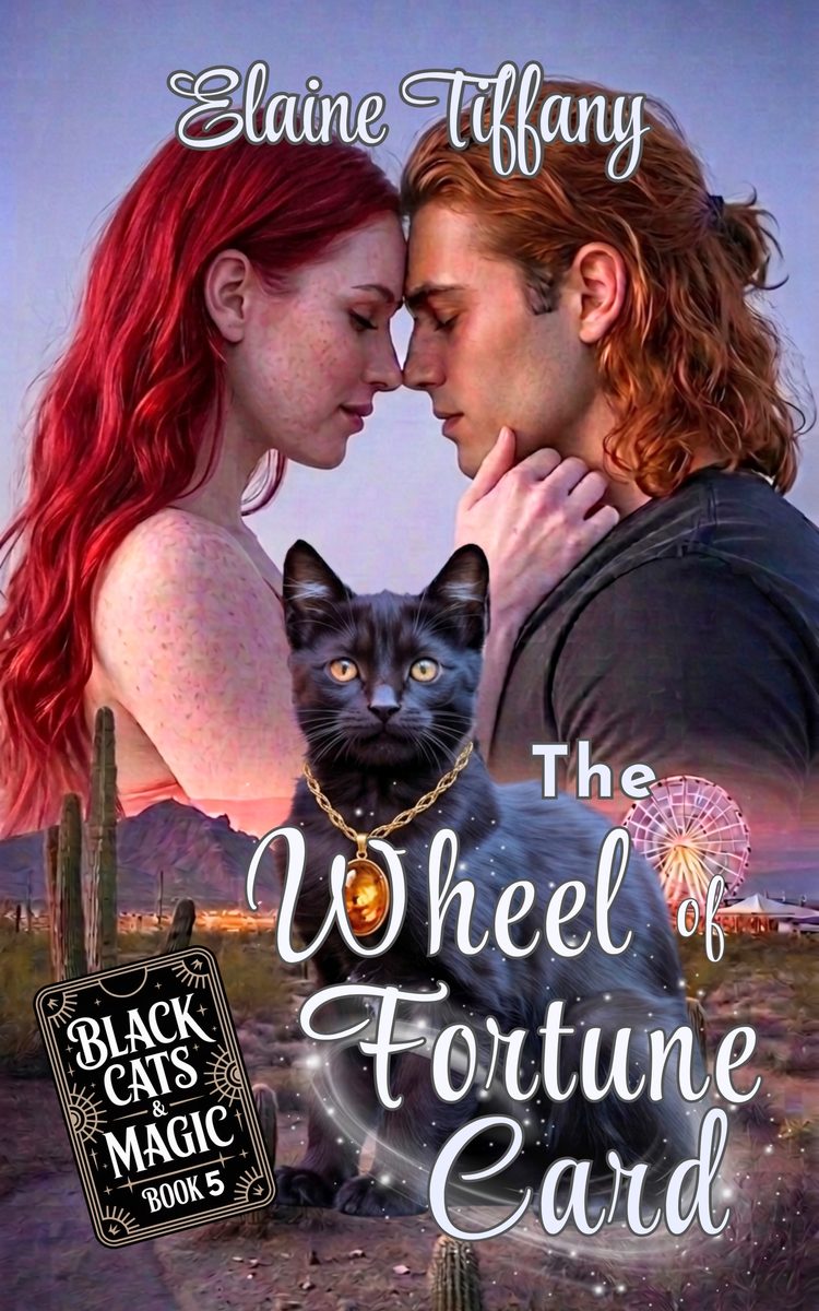 The Wheel of Fortune Card book cover